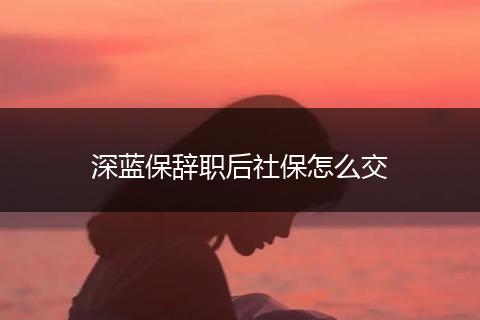 深蓝保辞职后社保怎么交