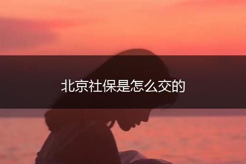 北京社保是怎么交的