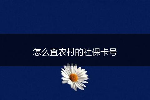 怎么查农村的社保卡号