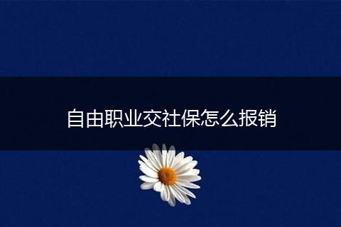 自由职业交社保怎么报销