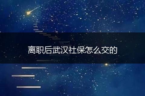 离职后武汉社保怎么交的