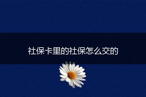 社保卡里的社保怎么交的
