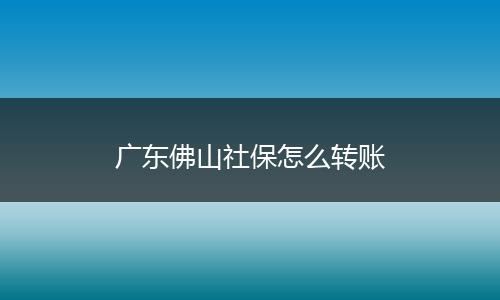 广东佛山社保怎么转账