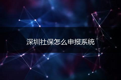深圳社保怎么申报系统