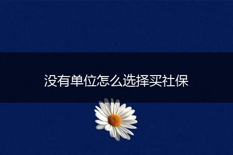没有单位怎么选择买社保