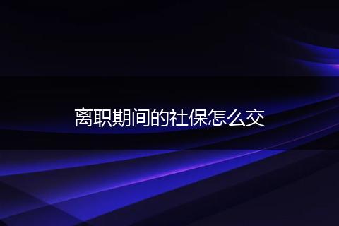 离职期间的社保怎么交