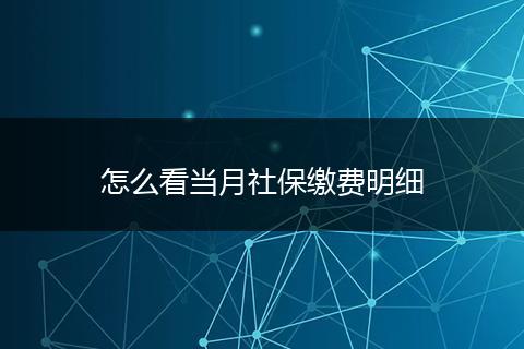 怎么看当月社保缴费明细