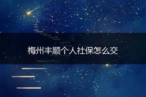 梅州丰顺个人社保怎么交