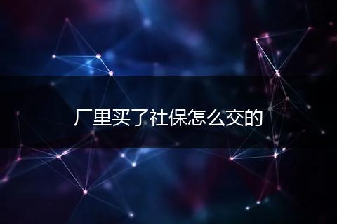 厂里买了社保怎么交的
