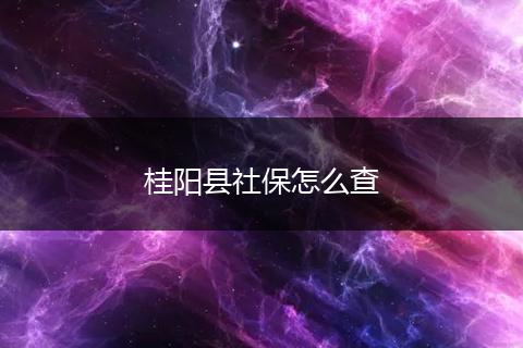 桂阳县社保怎么查