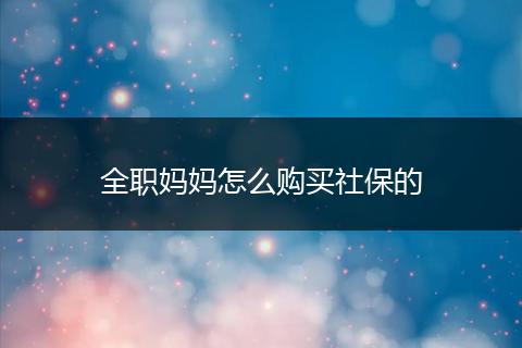 全职妈妈怎么购买社保的