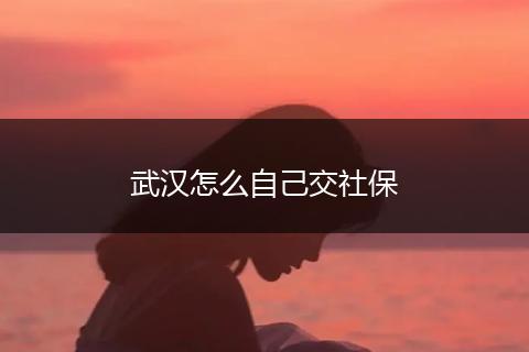 武汉怎么自己交社保