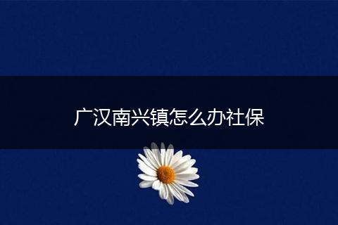 广汉南兴镇怎么办社保