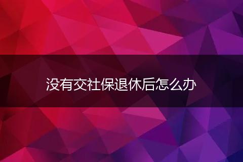 没有交社保退休后怎么办