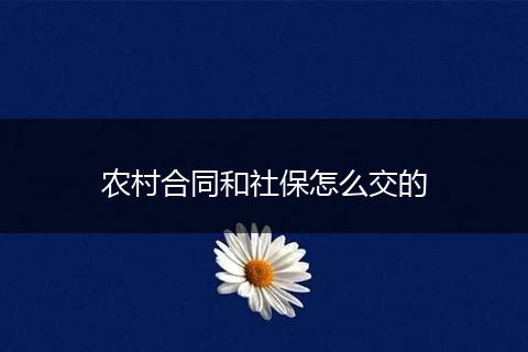 农村合同和社保怎么交的