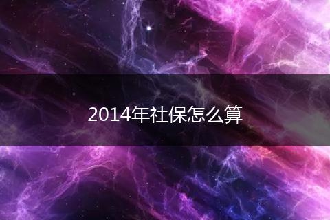 2014年社保怎么算