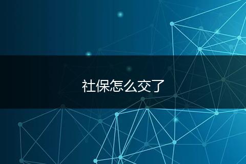 社保怎么交了