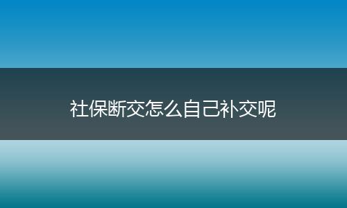 社保断交怎么自己补交呢