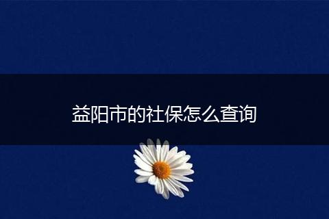 益阳市的社保怎么查询