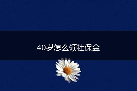 40岁怎么领社保金
