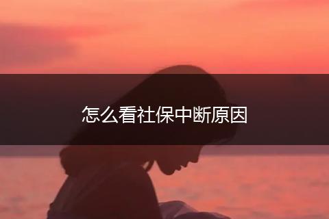 怎么看社保中断原因