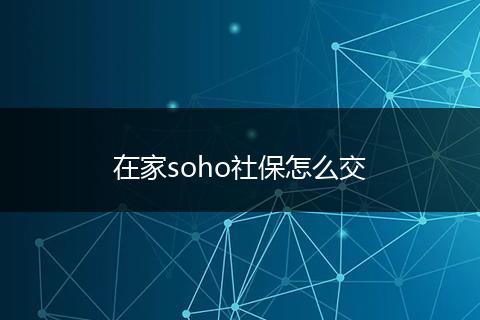 在家soho社保怎么交