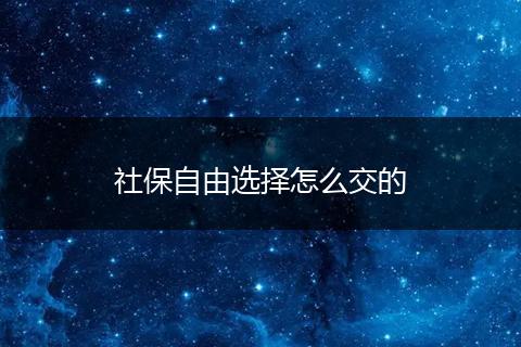 社保自由选择怎么交的