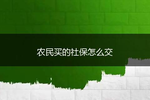农民买的社保怎么交