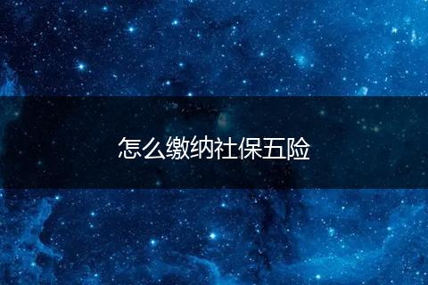 怎么缴纳社保五险