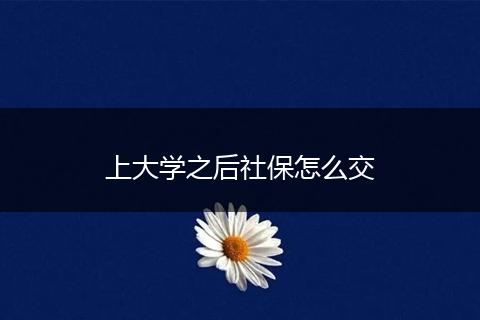 上大学之后社保怎么交