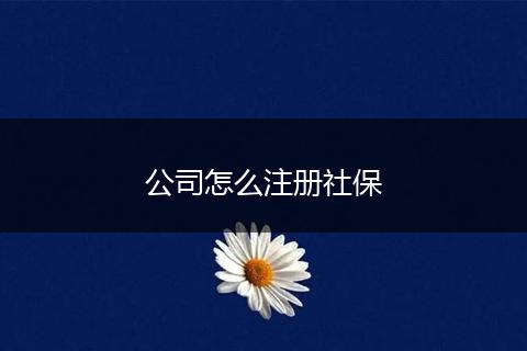 公司怎么注册社保