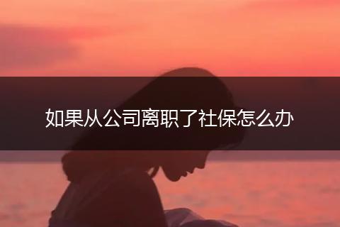 如果从公司离职了社保怎么办