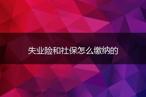失业险和社保怎么缴纳的