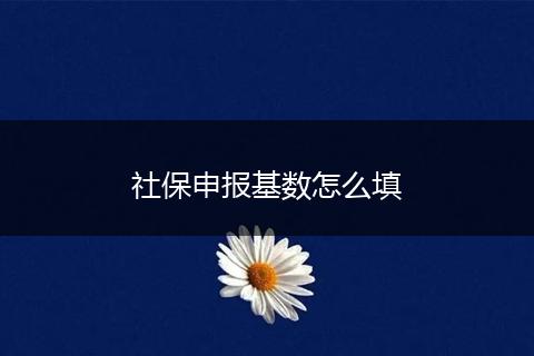 社保申报基数怎么填