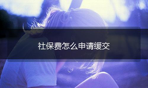 社保费怎么申请缓交
