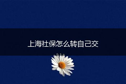 上海社保怎么转自己交