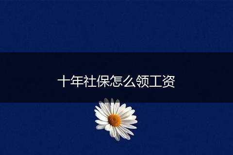 十年社保怎么领工资