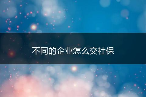 不同的企业怎么交社保