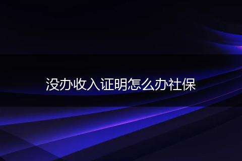 没办收入证明怎么办社保