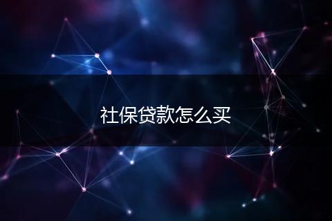 社保贷款怎么买