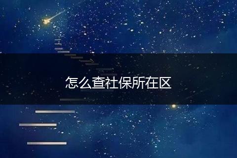 怎么查社保所在区
