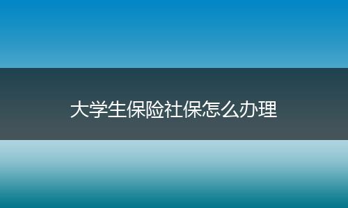 大学生保险社保怎么办理