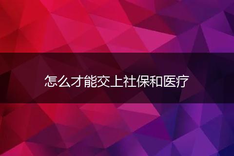 怎么才能交上社保和医疗