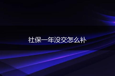 社保一年没交怎么补