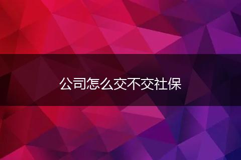 公司怎么交不交社保