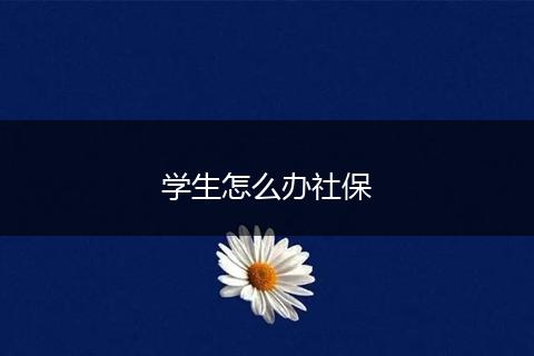 学生怎么办社保