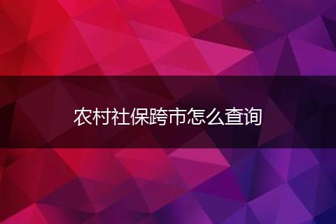 农村社保跨市怎么查询