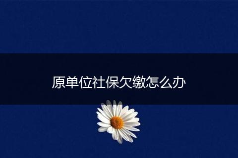 原单位社保欠缴怎么办