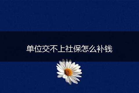单位交不上社保怎么补钱