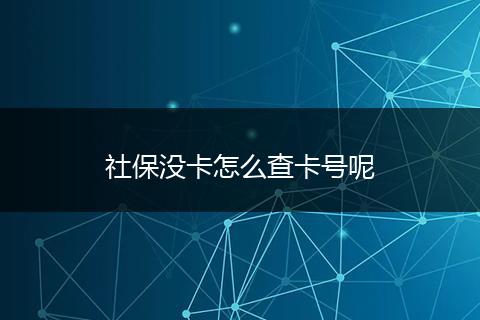 社保没卡怎么查卡号呢